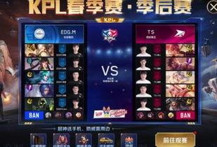 竞猜皮肤最新爆料,神秘皮肤即将揭晓，玩家热议不断！